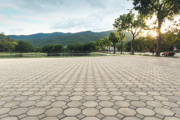 Best Residential Paver Driveway  in Leesburg, VA